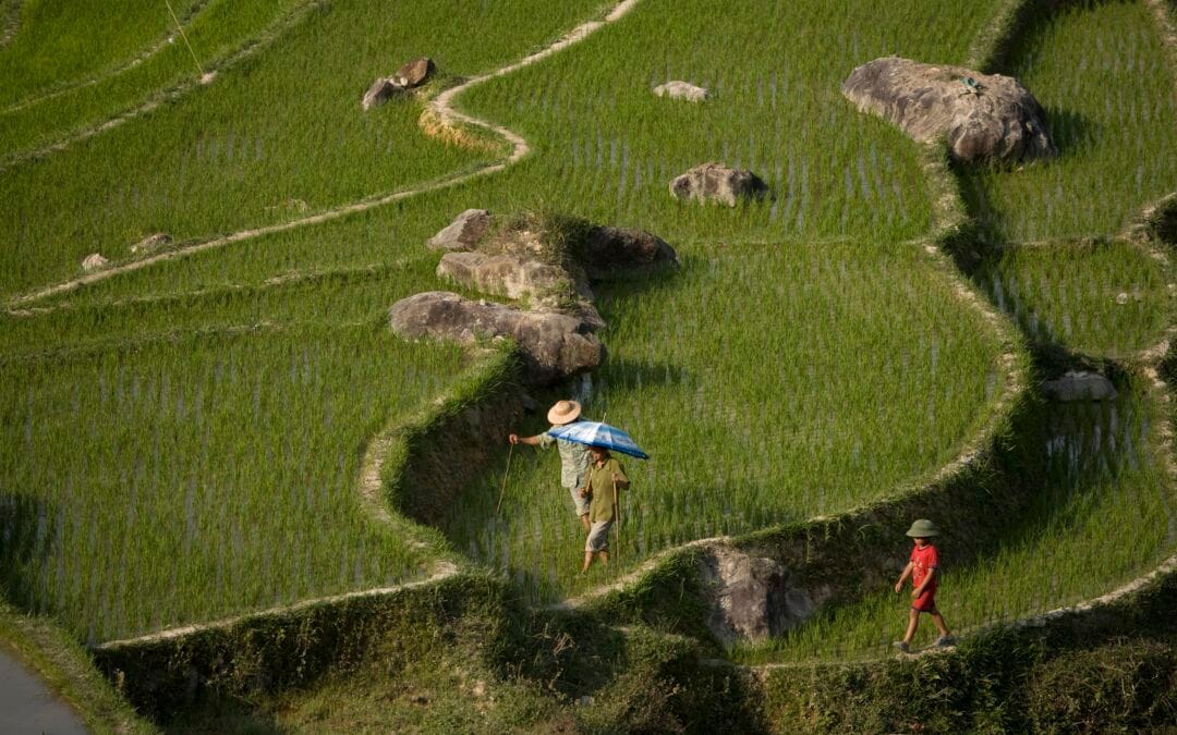 A PRAYER FOR GOSPEL ADVANCE AMONG THE PEOPLES OF VIETNAM