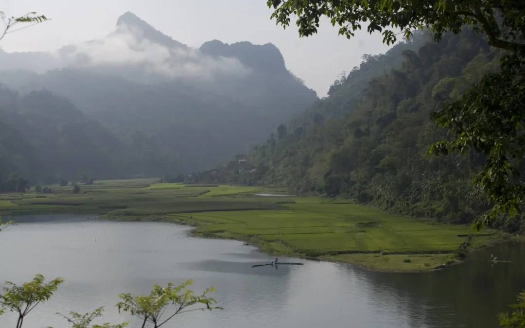 UNIFIED IN THE FAITH