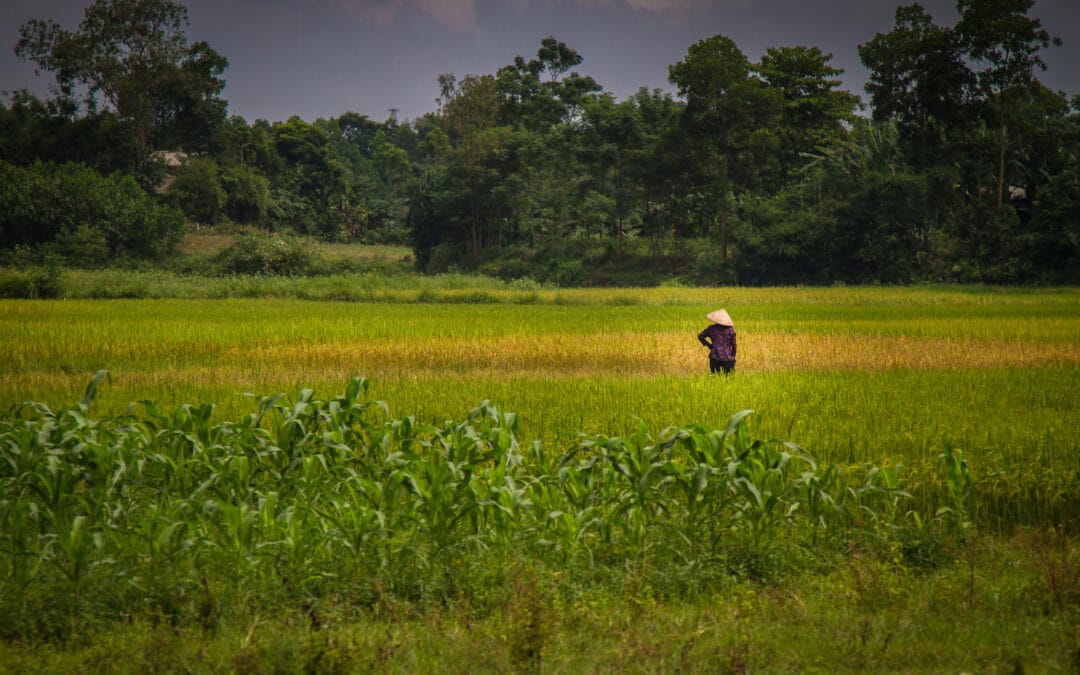 PERSECUTION TRAINING