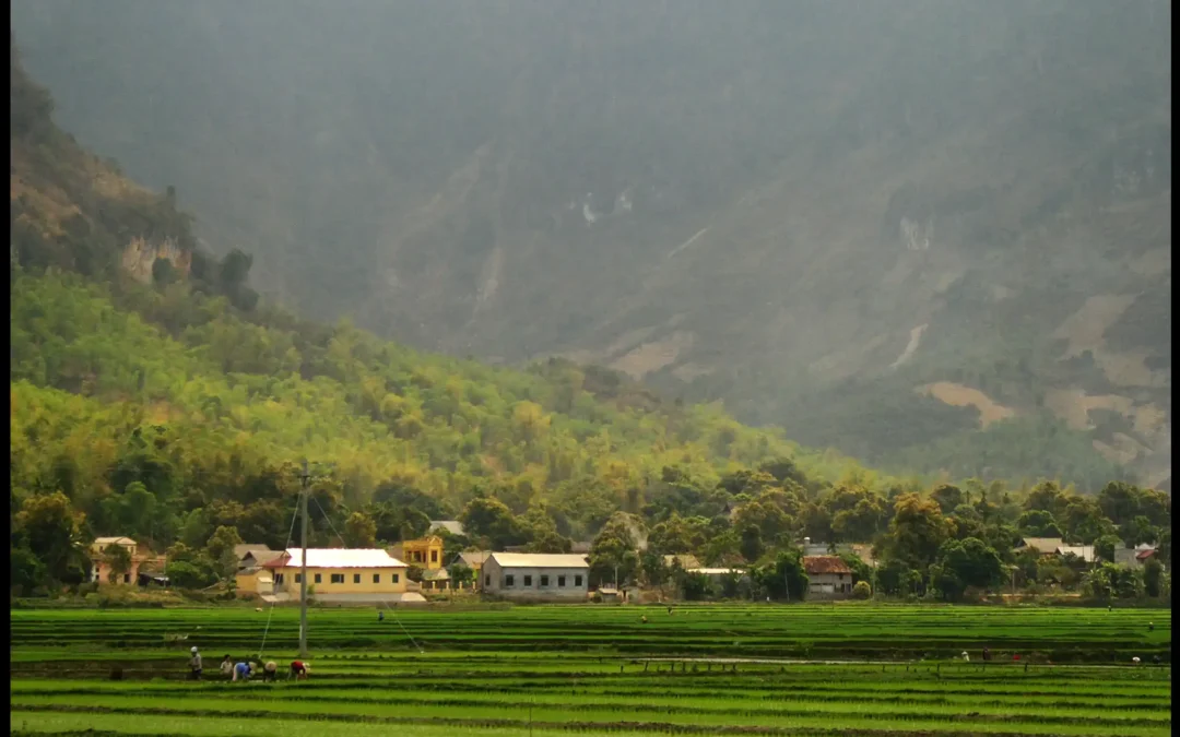 SUICIDE IN THE COUNTRYSIDE